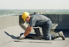 Best Roof Moss and Algae Removal  in Baker City, OR